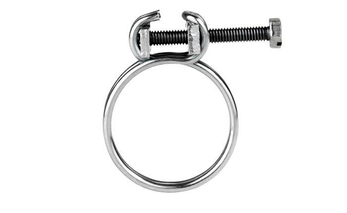 Hose clamps with screw